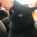 Timothy Quirion - Facebook