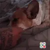 Tina Rabideau - @tina.rabideau - TikTok