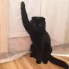 ginitimaru - @timsrace - TikTok