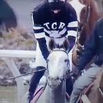 Tim Race - @bigtimcny - Instagram