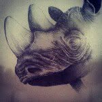 Tim Rainey - @tr8082k13 - Instagram