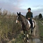 Tim Ransome - @tim.ransome.73 - Instagram