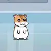 Timothy Ransom - @timothy87902 - TikTok