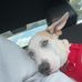 Timothy Rash - Facebook