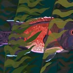 Tim Rauch - @tim_rauch - Instagram
