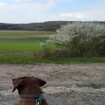 Tim Rauch - @rauch7465 - Instagram