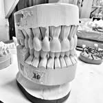 Tim Rauch DDS - @dr._tim_rauch - Instagram