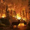 Tim Ray - @user343242942 - TikTok
