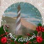 Tim Raynor - @tim.raynor.587 - Instagram