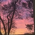 Tim Reckner - @timothy_reckner - Instagram