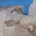 Tim Reckner - Facebook