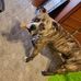 Timothy Rector - Facebook