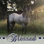 Tim Reeder - @tim.reeder.399 - Instagram