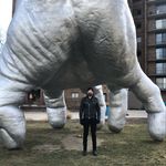 Tim Reiter - @gtreiter - Instagram