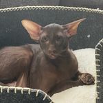 Remington - @remingtontimes - Instagram