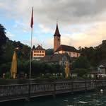 Tim Rex - @tim_rexi_ - Instagram