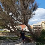 Tim Richter - @tim_richter60 - Instagram