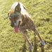 Tim Rickman - Facebook