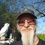 Tim Rickman - @rickman.tim - Instagram
