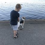 Tim Rivett - @timrivett.chucky - Instagram