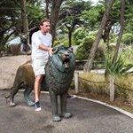 Tim Robison - @tim.robison - Instagram