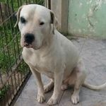 Tim_Rocha_ - @tim_tim_5678 - Instagram