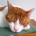 Tim Rogge - @timtomato2001 - Instagram