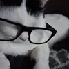 roll1946@yahoo. com - @timroll2 - TikTok