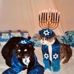 Tim Roll - @gucc1_jew - Instagram