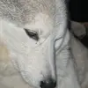 Tim Roll - @tim.roll8 - TikTok