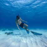 Tim Rolland - @tim_rolland_nc - Instagram