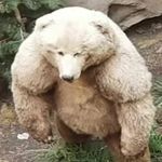 Tim Rook - @tim.rook_ - Instagram