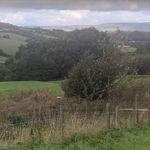 Tim Rook - @oakwillowlarch - Instagram