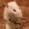 timrook - @rookbruh - TikTok