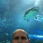 Tim Rourke - @trourke12 - Instagram