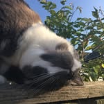 Tim Rust - @mrrustie - Instagram