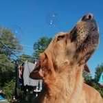 Tim Rust - @timrust72 - Instagram