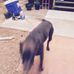 Tim Rust - Facebook