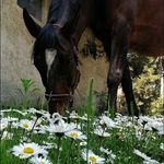 Sándor Timár - @sandor.timar.547 - Instagram