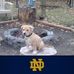 Timothy James Sandusky - Facebook