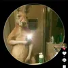 tim canguro_saul_22 - @tim.canguro_saul_ - TikTok