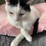 Tim Saunders - @tim.saunders.9212 - Instagram
