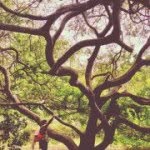 Tim Scammell - @tscammell - Instagram