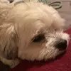 Tim Schultz - @tim.schultz6 - TikTok