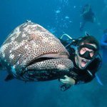 Tim Schulz - @schulzyt - Instagram