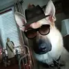 timschutt745 - @timschutt745 - TikTok