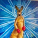 Tim Schütz - @t.schuetz3 - Instagram