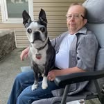Tim Sears - @timsears101 - Instagram