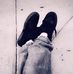 Timothy Sedgwick - Facebook