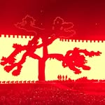 Tim Sell - @tsell12 - Instagram
